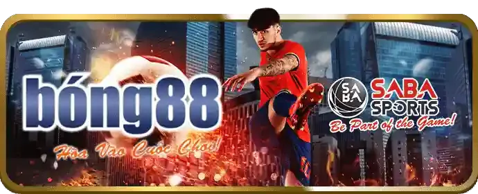 Hình ảnh tổng hợp các môn thể thao khác nhau